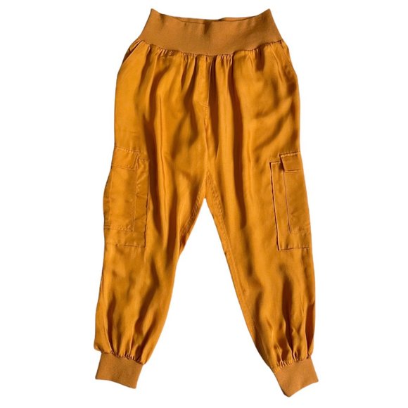 Cinq a Sept x Revolve Giles  Satin Jogger Pants in Cinnamon/Merigold - Picture 2 of 6